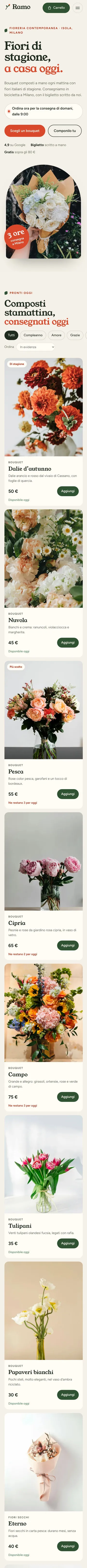 Pagina completa del sito Ramo su smartphone