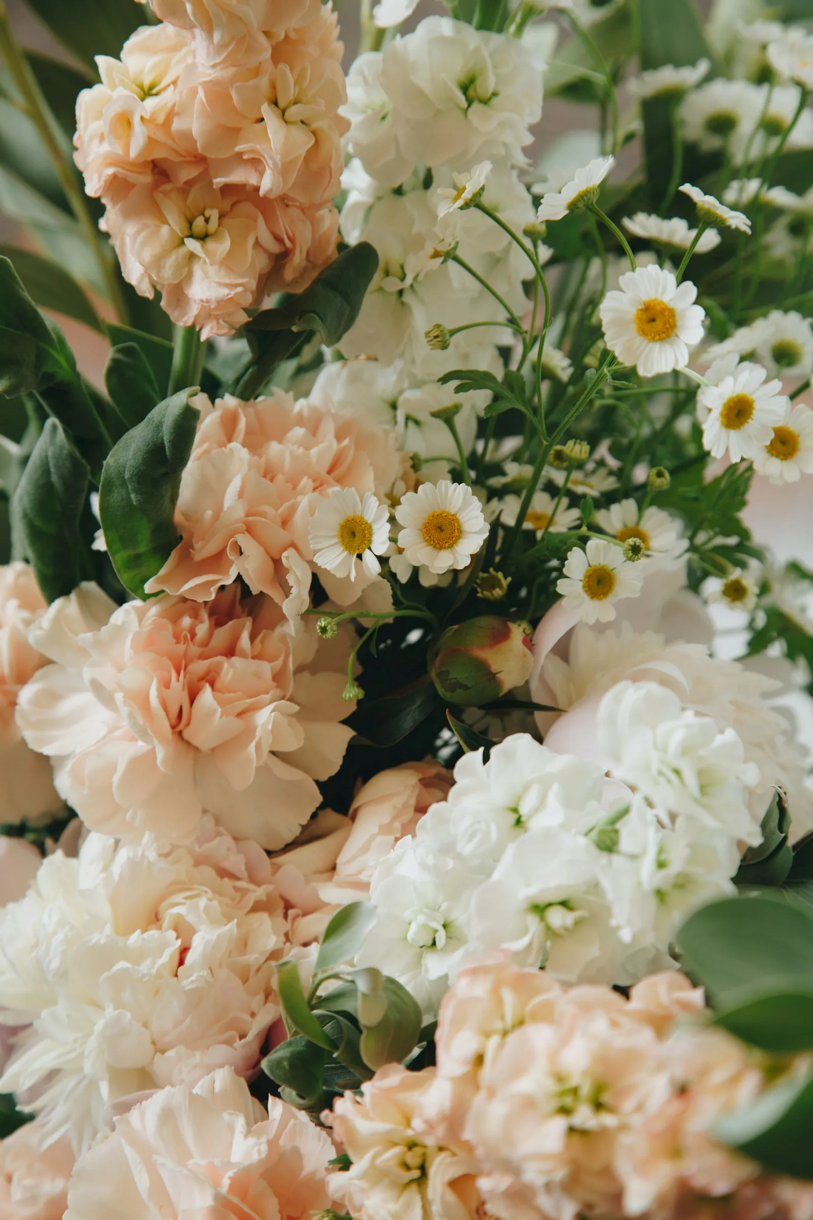 Fiori bianchi e color pesca molto fitti