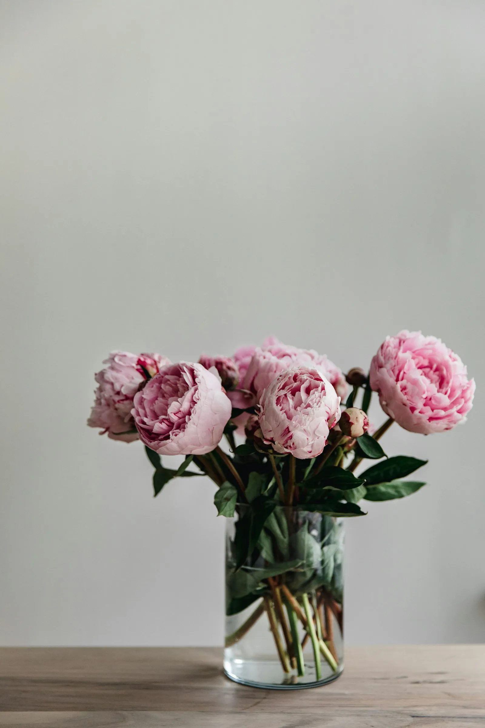Peonie rosa in un vaso di vetro