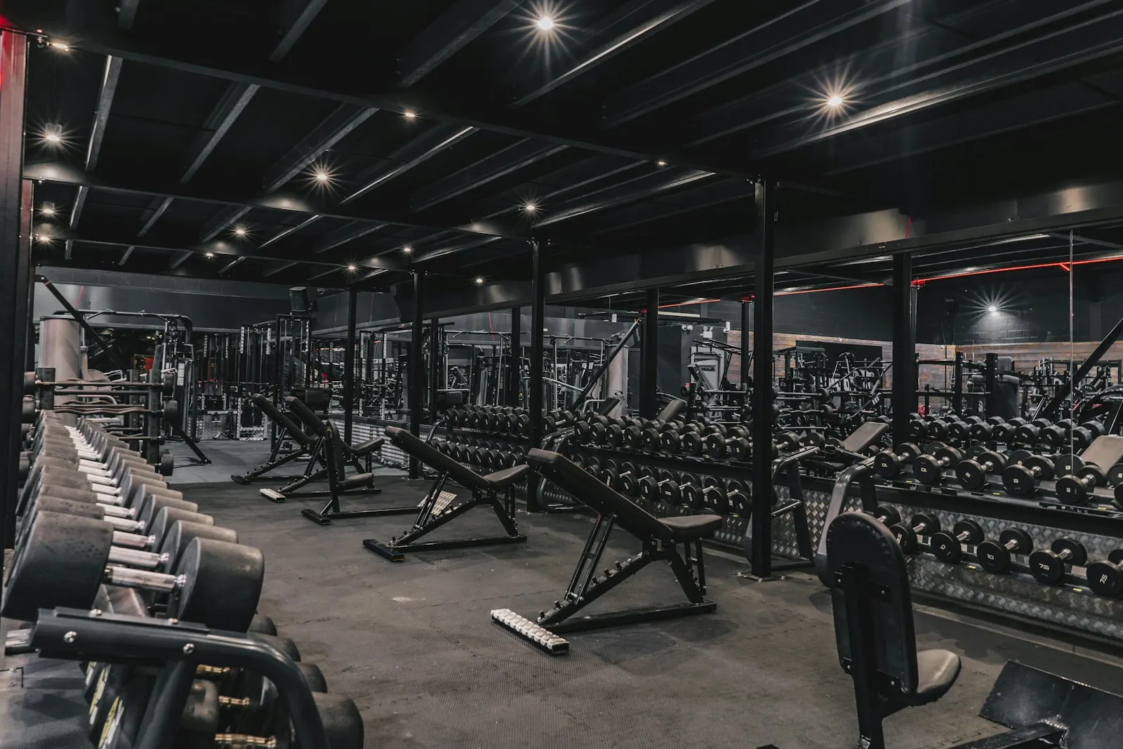 Sala pesi