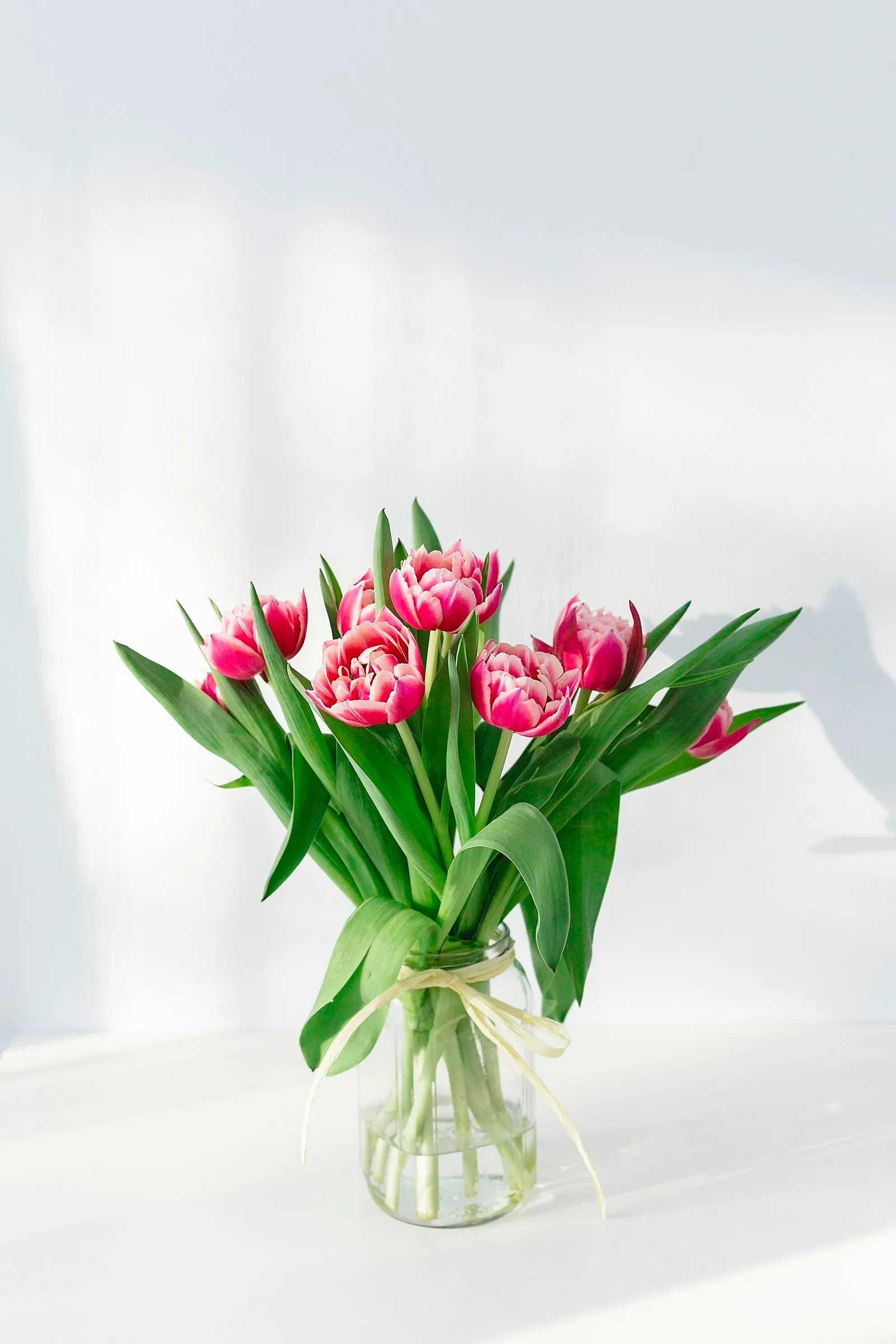 Tulipani fucsia in un vaso trasparente