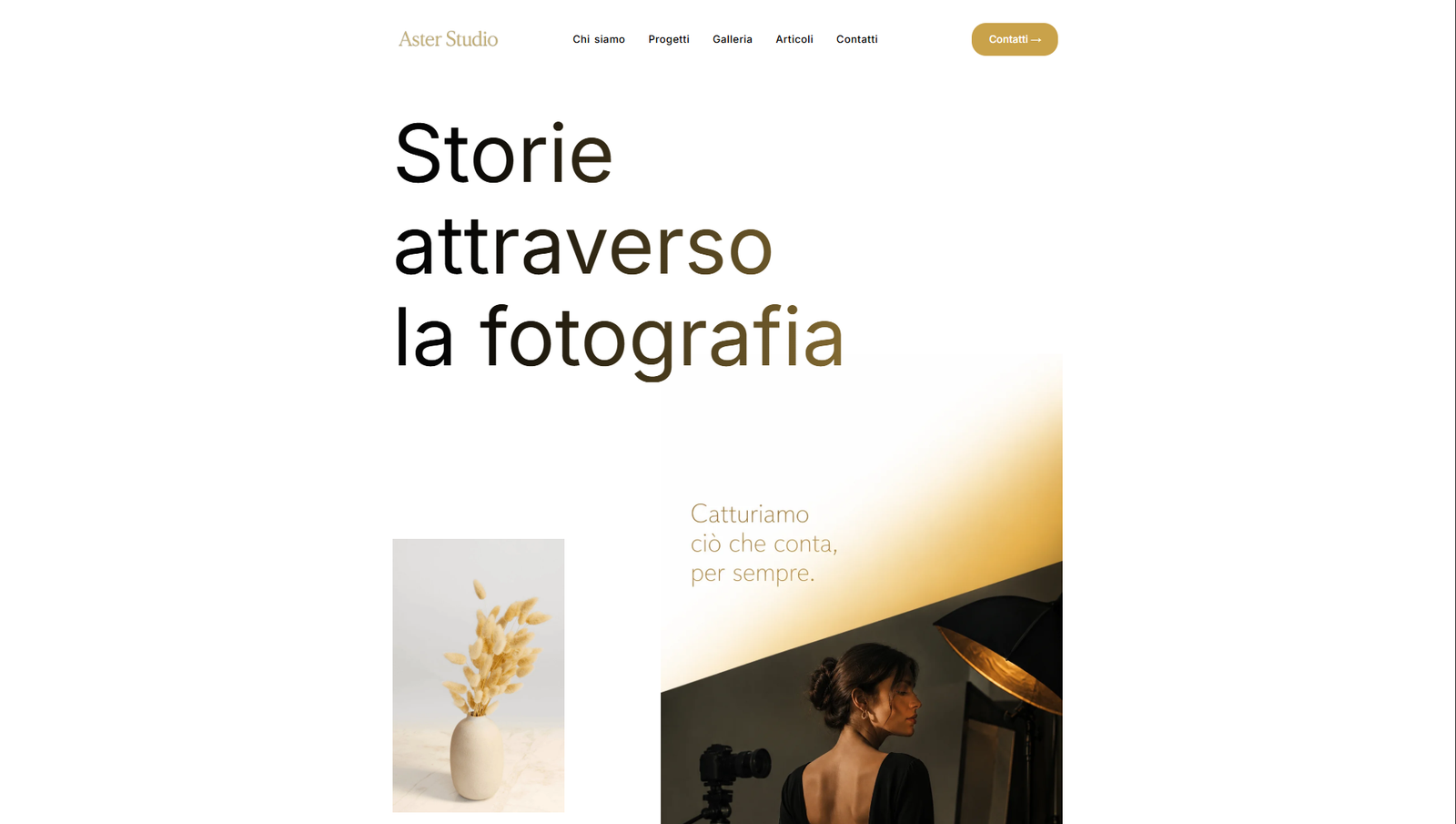 Aster Studio